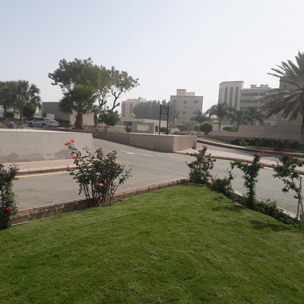 Government Complex in Taif