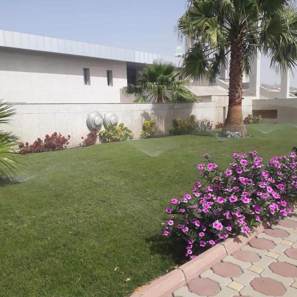 Government Complex in Taif